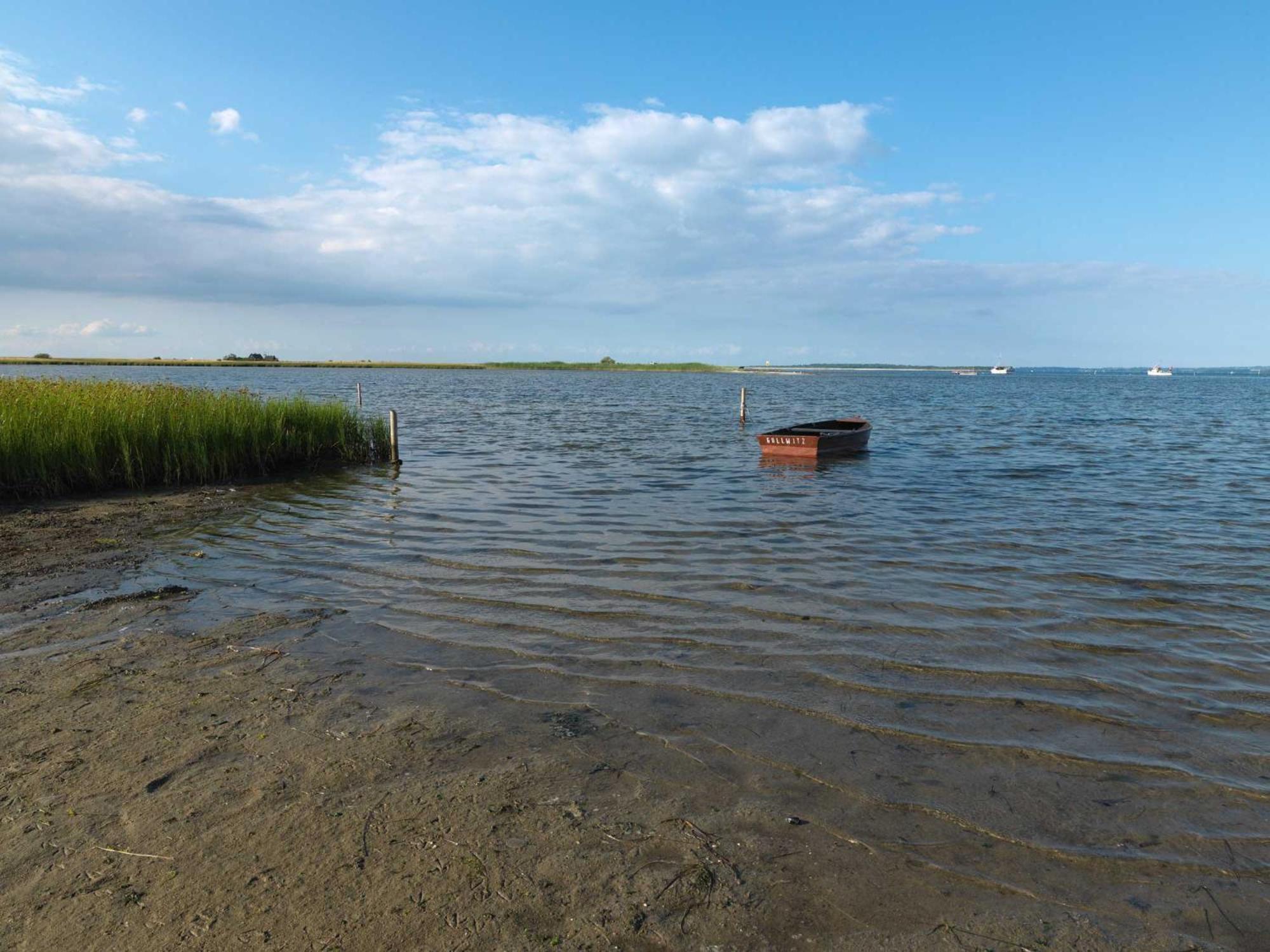 Seerose Insel Poel Bagian luar foto