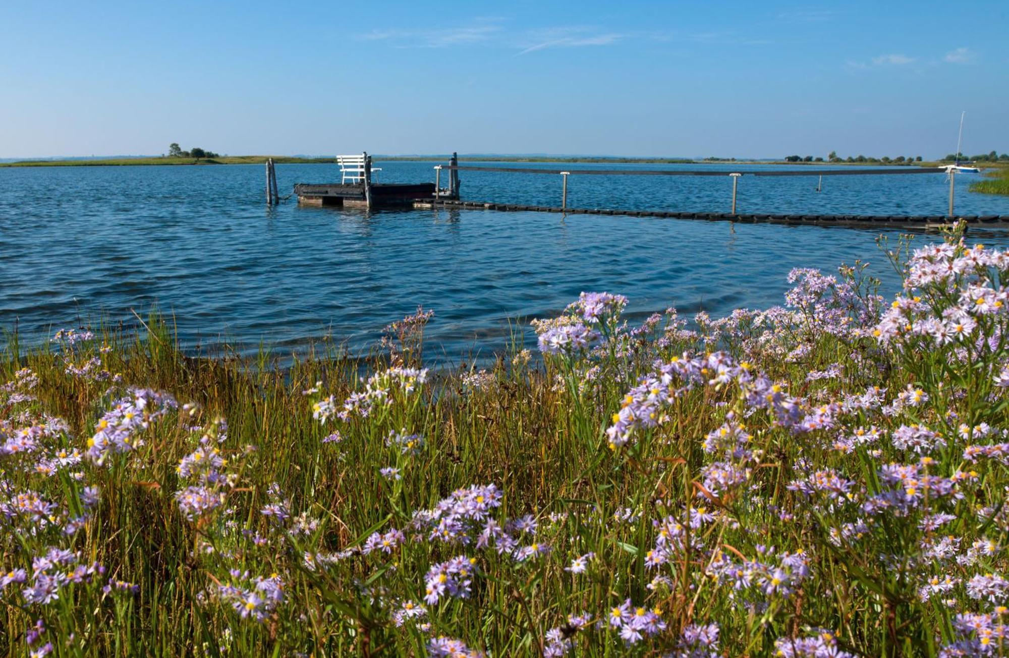 Seerose Insel Poel Bagian luar foto
